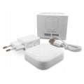 Passerelle Zigbee + Bluetooth Mesh EU WG010 — média candidat, à remplacer par média exact fabricant dès récupération