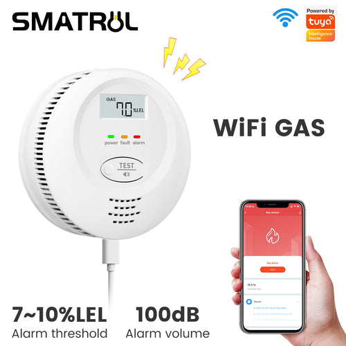 Domhome YG001W détecteur de gaz naturel WiFi